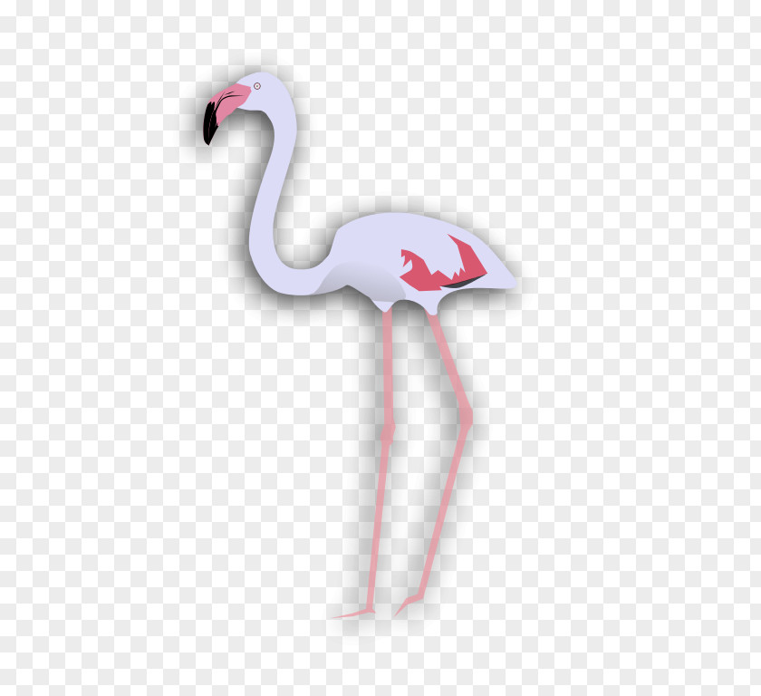 Flamingo Assam Andhra Pradesh Arunachal Indian Roller Bird PNG