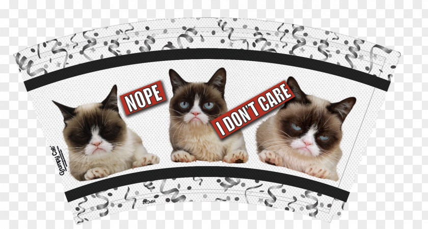 Kitten Whiskers Grumpy Cat Dog PNG
