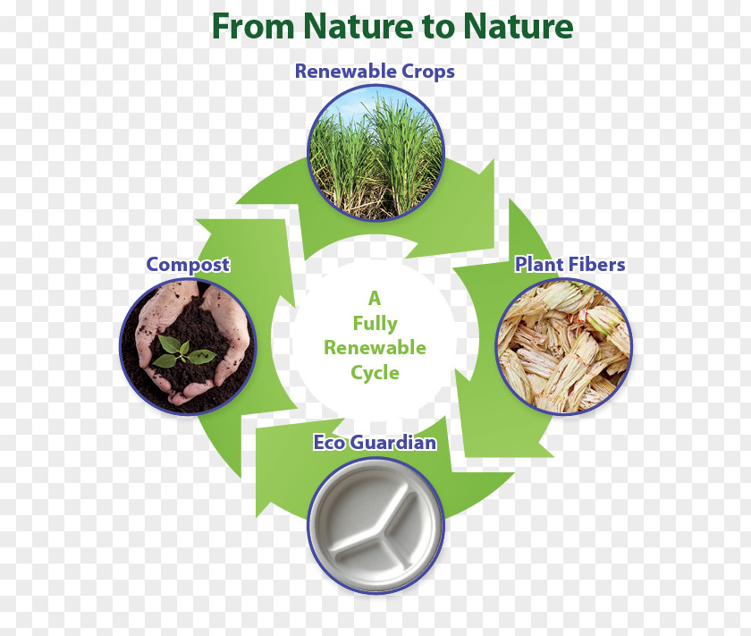 No To Styrofoam Biodegradation Environmentally Friendly Material Compost PNG