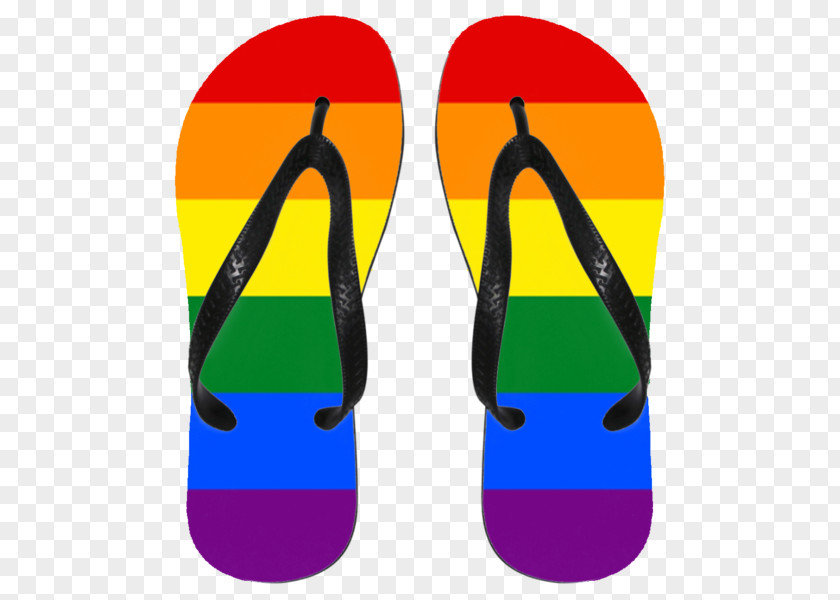 Rainbow Flip Flop Flip-flops Clip Art Product Design Shoe PNG
