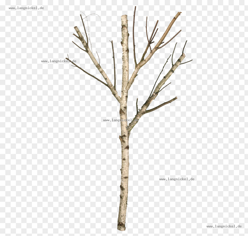 Birch Branch Living Room Furniture Interior Design Services PNG