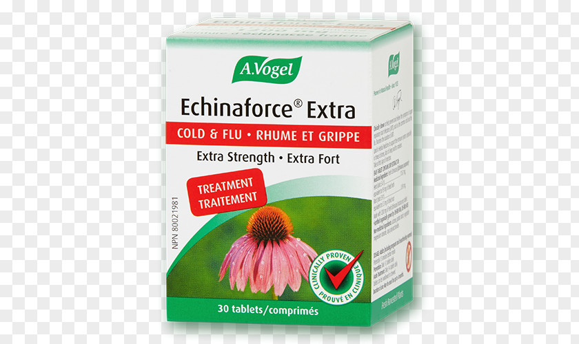 Cold Store Menu Echinaforce Common Dietary Supplement Tablet Purple Coneflower PNG