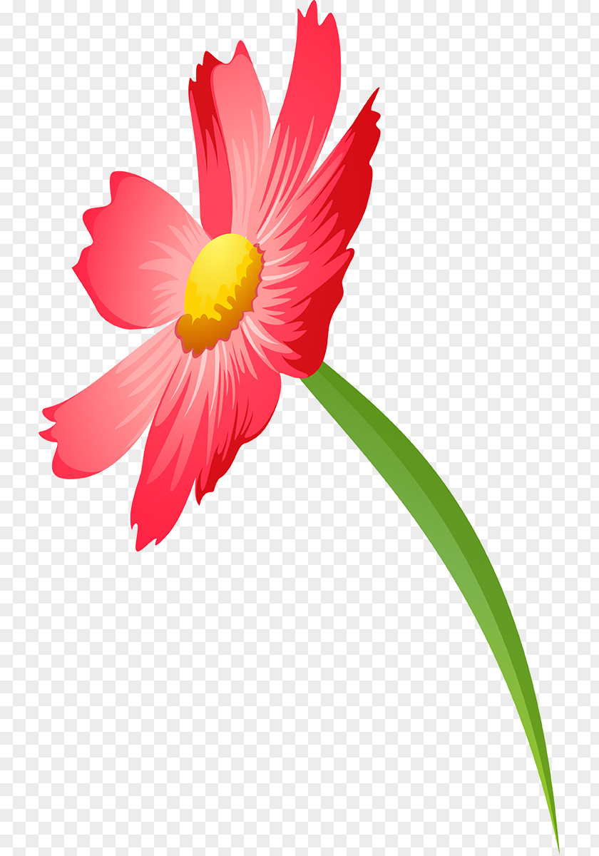 Flower Thumbnail File Format Clip Art Cosmos Cut Flowers PNG
