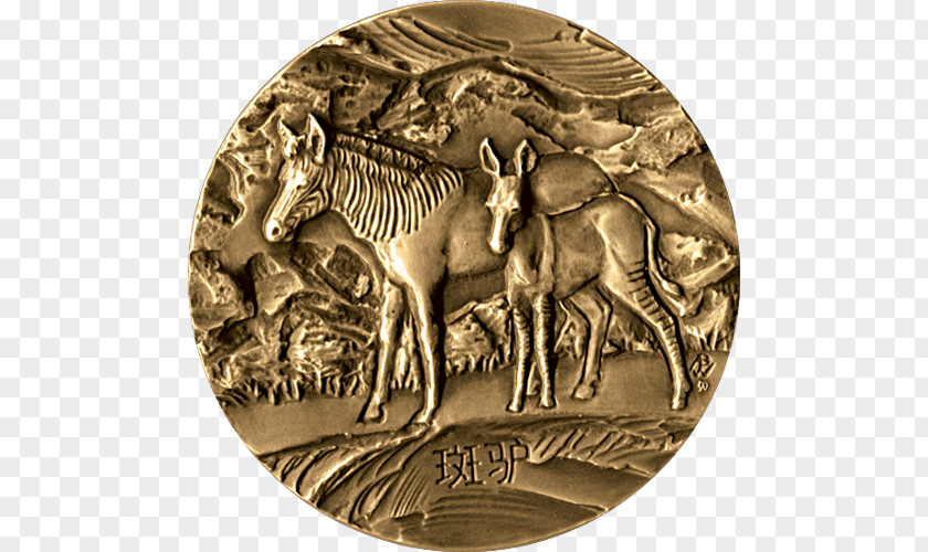 Gold Medal Coin Silver Bronze PNG