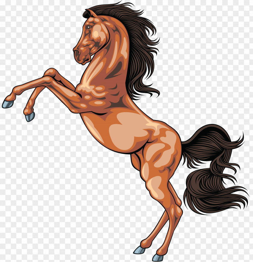 Horse Equestrian Clip Art PNG