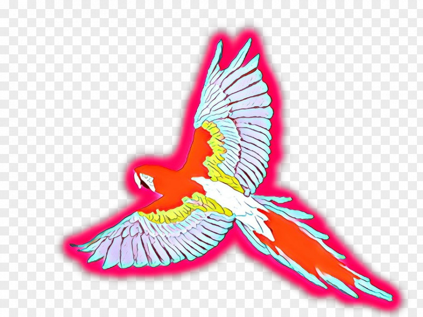 Hummingbird Wing Bird PNG