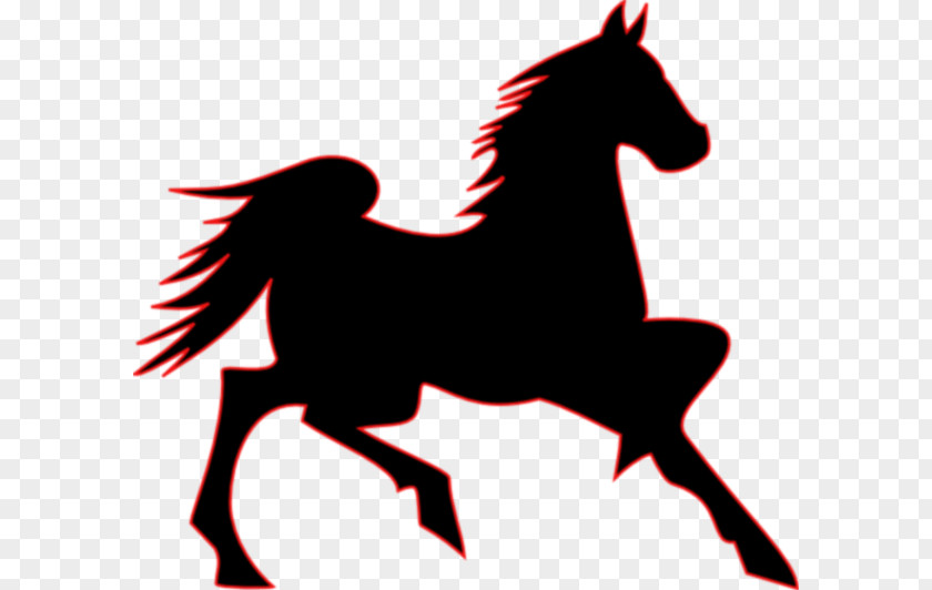 Mustang Logo Cliparts Tennessee Walking Horse Arabian Belgian Morgan PNG