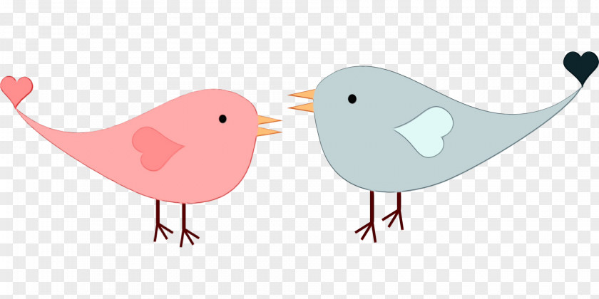 Songbird Perching Bird Love Birds Drawing PNG