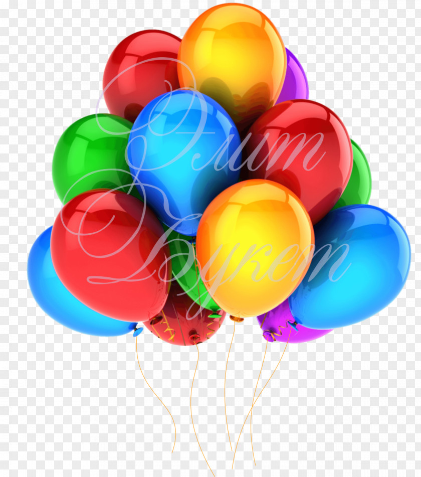 Balloon Birthday Party Clip Art PNG