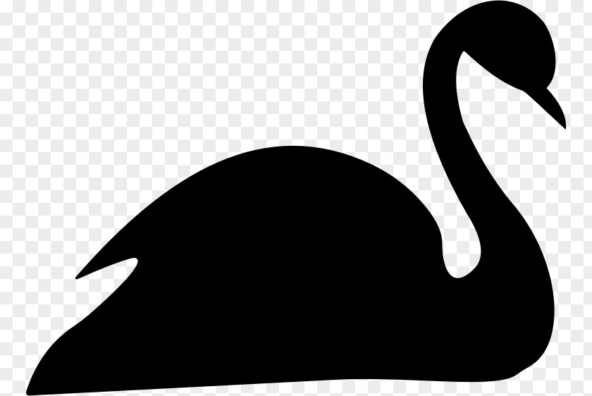 Black Swan Silhouette Drawing Clip Art PNG