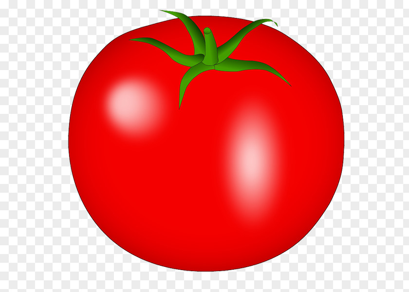 Tomato Plum Bush PhotoScape PNG