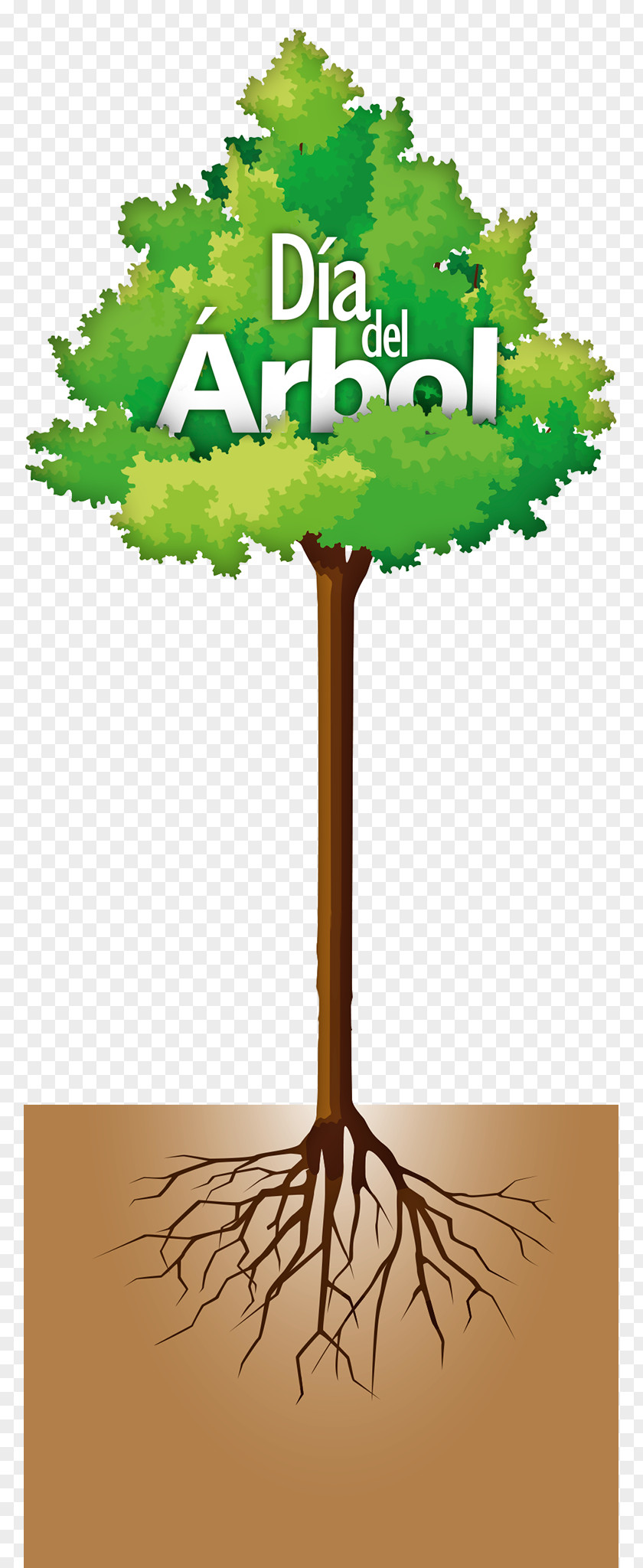 Tree Arbor Day Alcorque Earth PNG