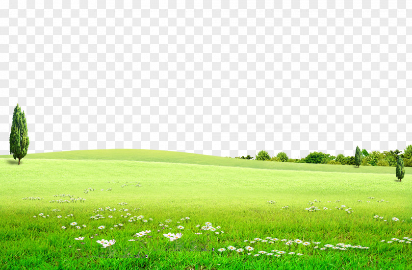 Background Green Meadow, Prairie, Flowers, Nature, Outdoor Tourism PNG