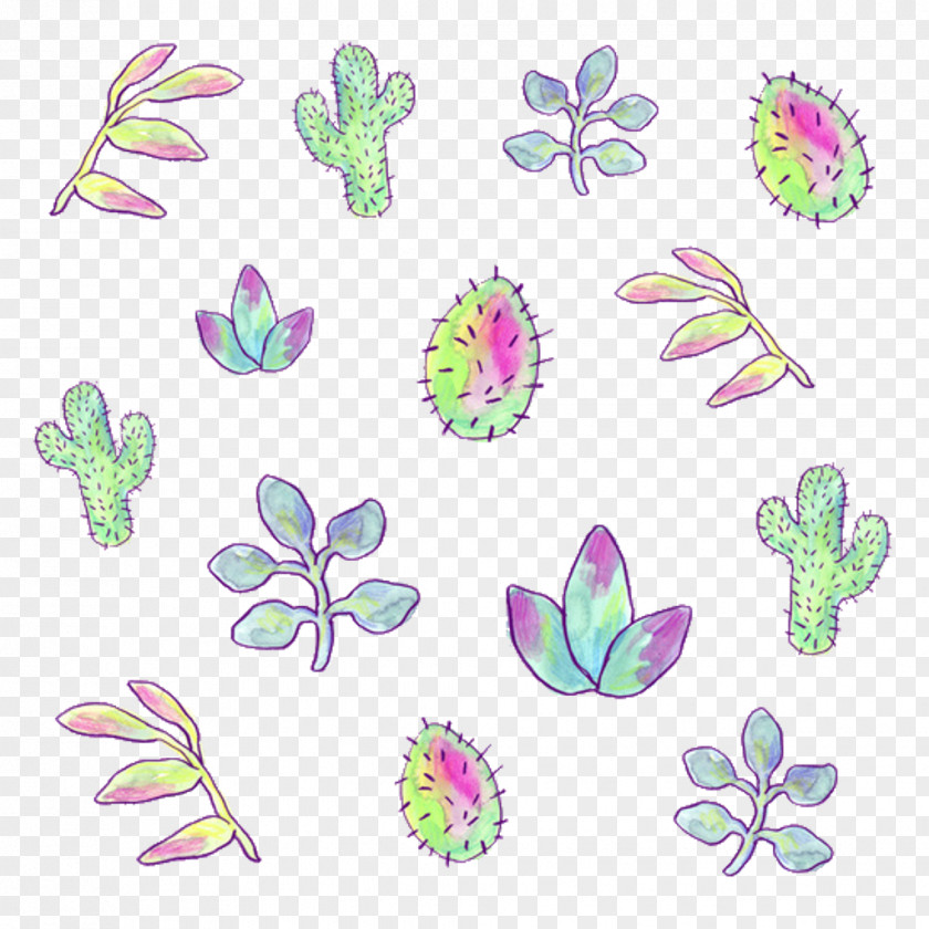 Cactus Succulent Plant Drawing Image Leaf PNG