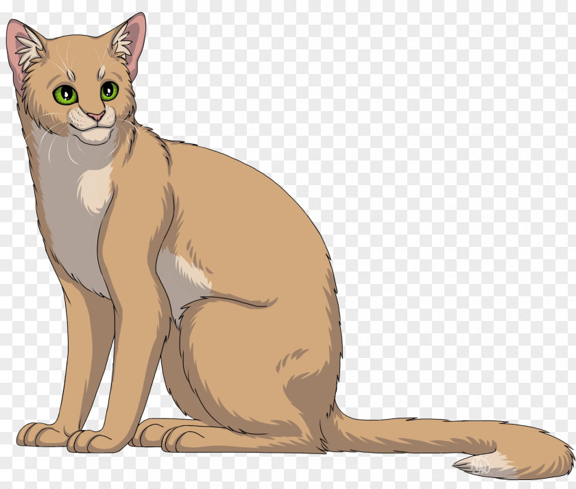 Cat Whiskers Wildcat Warriors Domestic Short-haired PNG