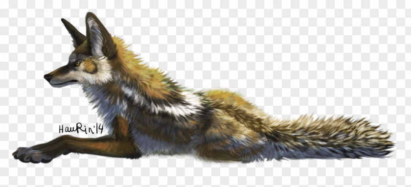 Fox Red Gray Fur Tail PNG