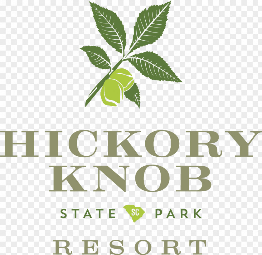 Park State McCormick HICKORY KNOB STATE RESORT PARK Accommodation PNG