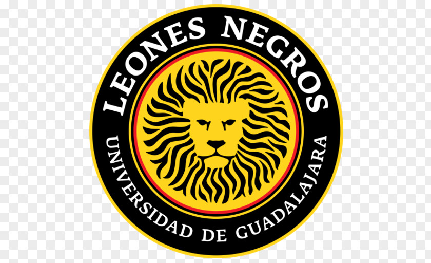 University Of Guadalajara Leones Negros UdeG C.D. Club León Liga MX PNG of MX, football clipart PNG