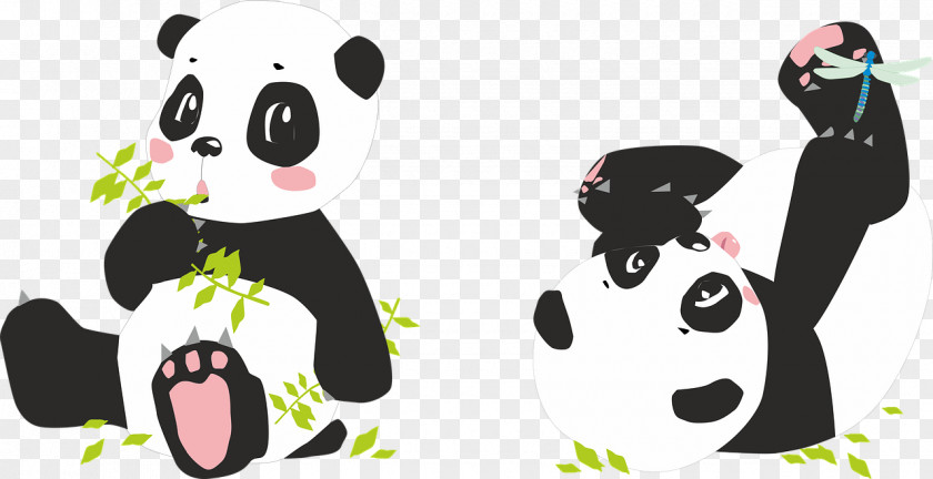 Bear Giant Panda Clip Art Image PNG