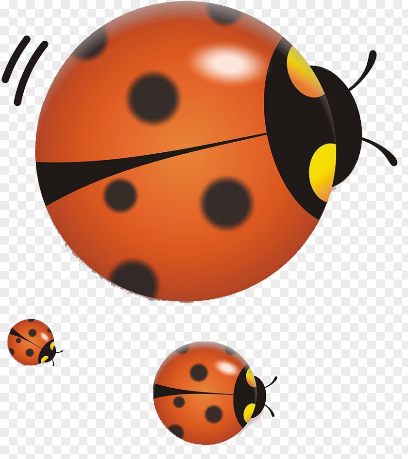 Ladybug Whole Family Volkswagen Beetle Ladybird Butterfly Car PNG