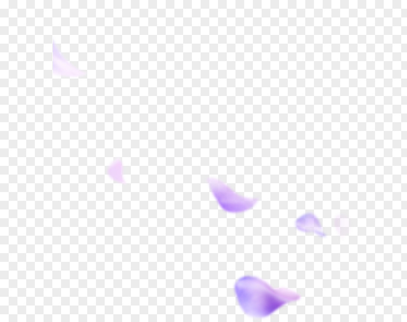 Lilac Petals Falling Purple Petal Lavender PNG