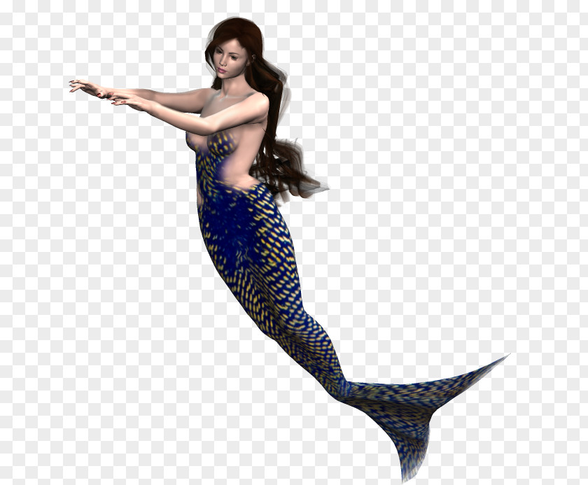 Mermaid Graphics Software Siren PNG