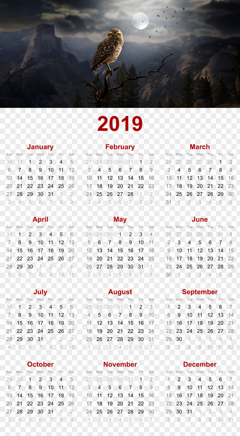 Owl In Night Design.Others 2019 Printable Calendar PNG