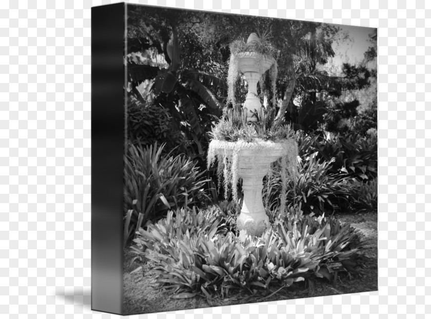 Painting Black And White Photography Canvas Print Gallery Wrap PNG