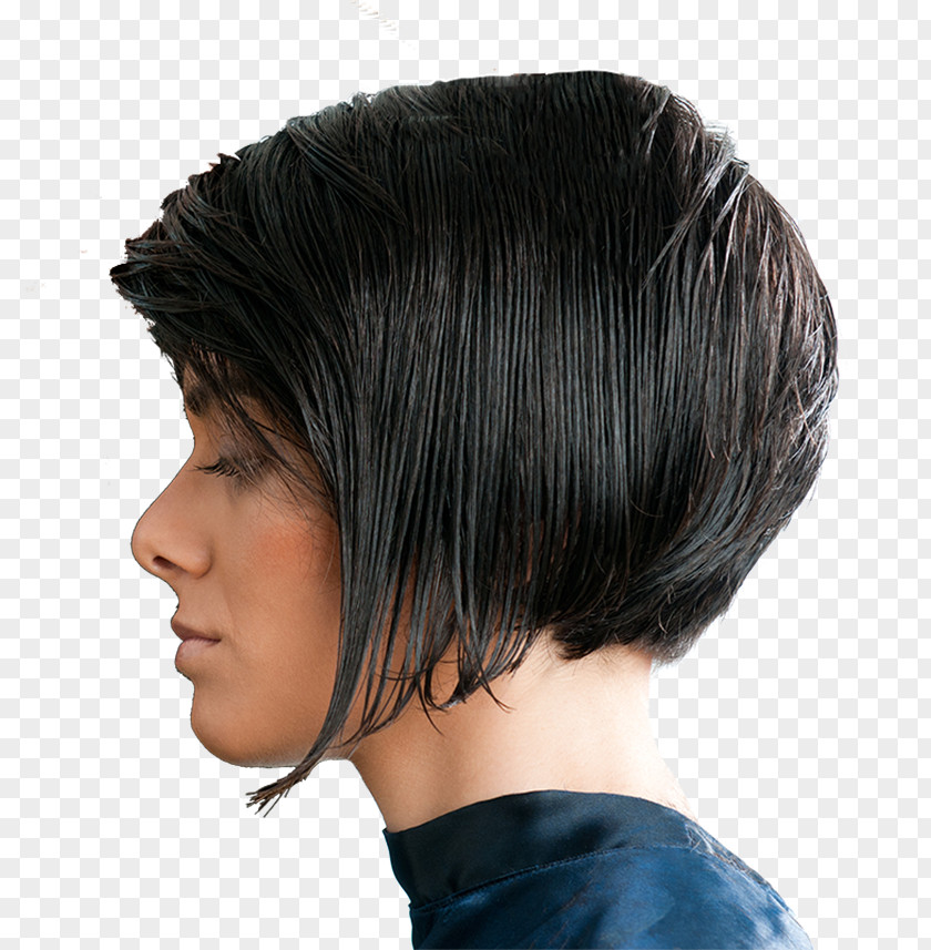 Special Offer Hairdresser Beauty Parlour Hairstyle Hair Theatre PNG