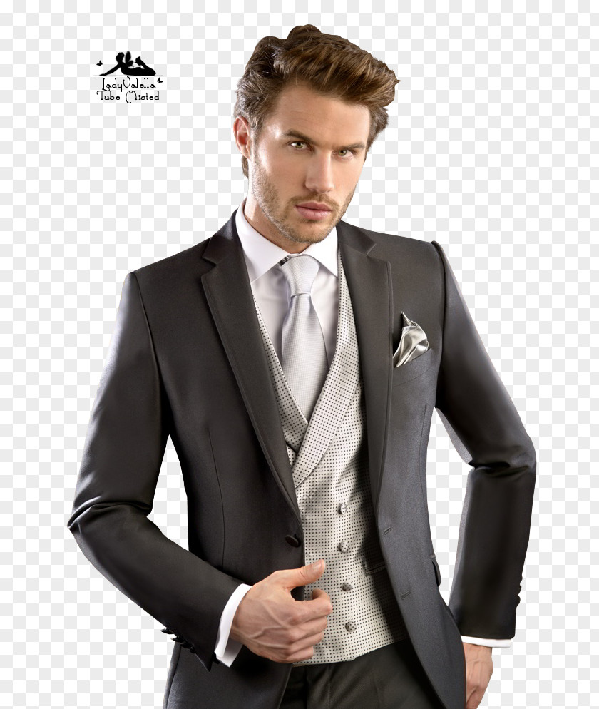 Suit Pierre Cardin Tuxedo M. 0 Blazer PNG