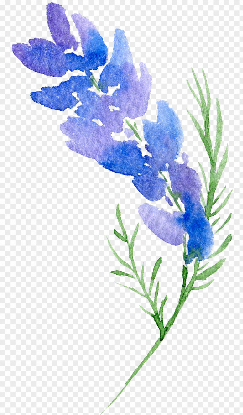 Transparent Background Floral Botanical Watercolor Flowers Design Flower Painting PNG