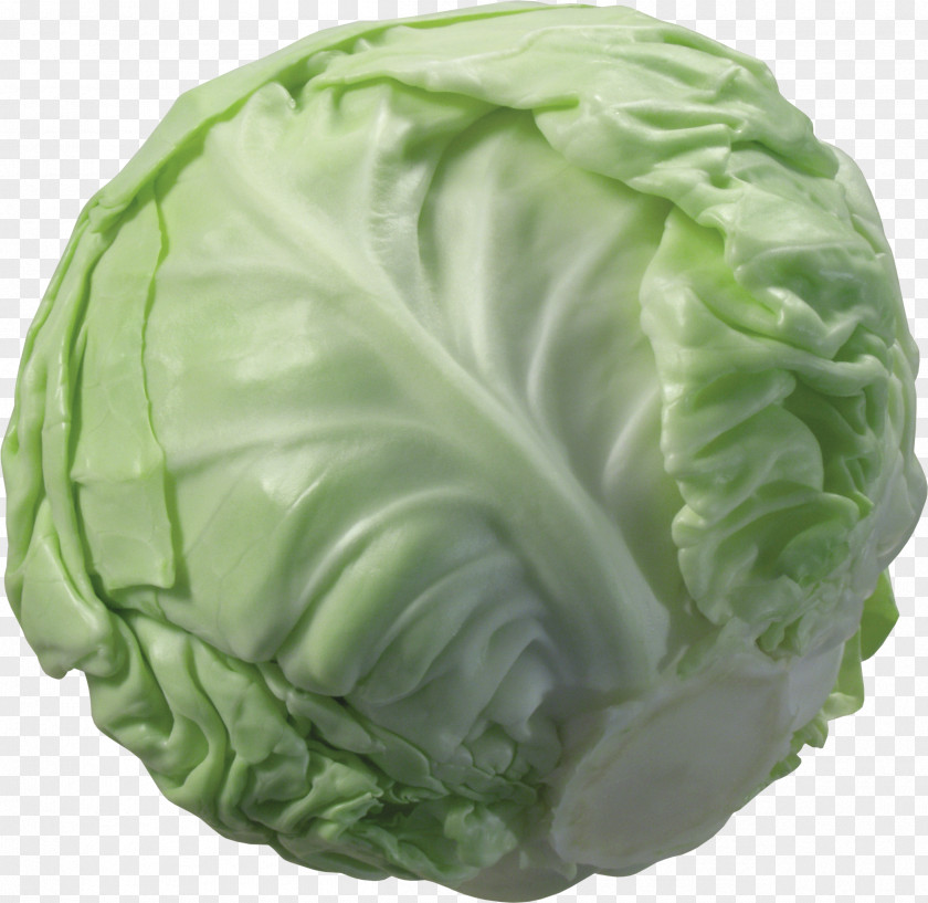 Broccoli Cabbage Cauliflower Vegetable PNG