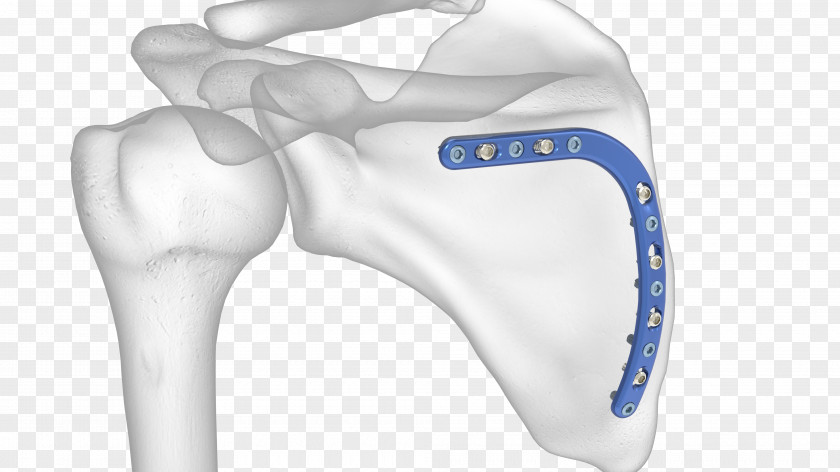 Design Shoulder Bone PNG