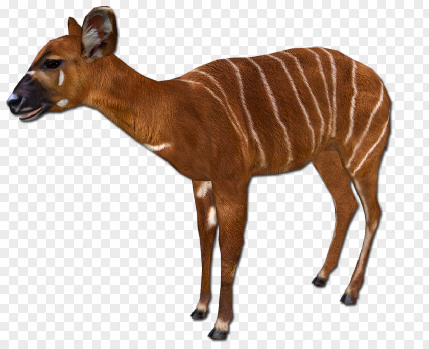 Giant Sable Antelope Impala Zoo Tycoon 2 Animal PNG