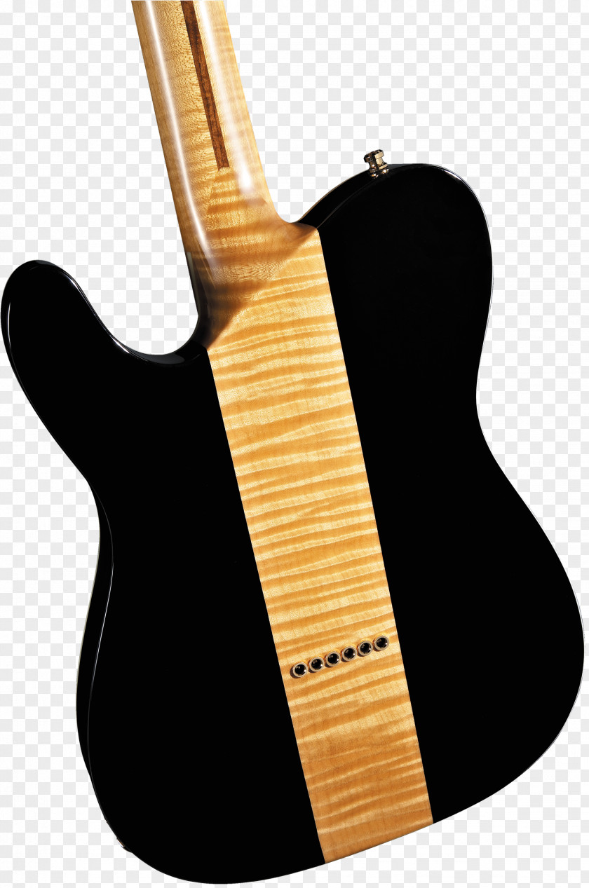 Sunburst Fender Telecaster Custom Gibson Firebird Guitar Musical Instruments PNG
