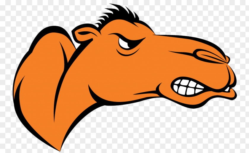 Campbell University Fighting Camels Women's Basketball Men's Football Division I (NCAA) PNG