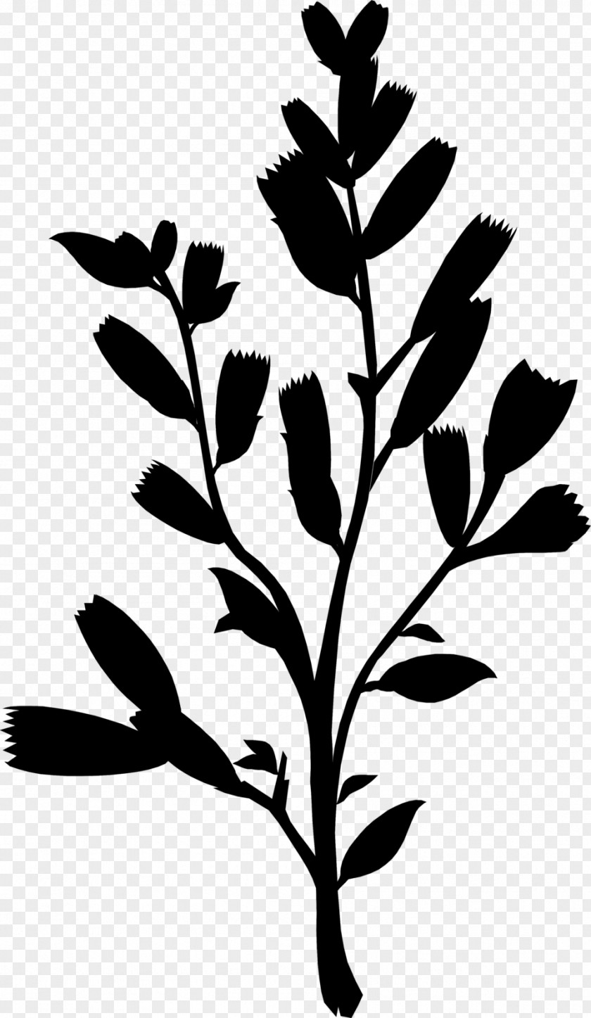 Flower Leaf Plant Stem Clip Art Floral Design PNG