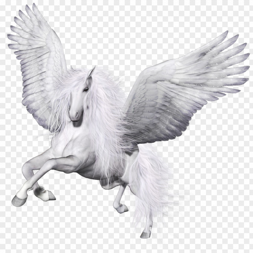 Pegasus Winged Unicorn Horse Pillow PNG