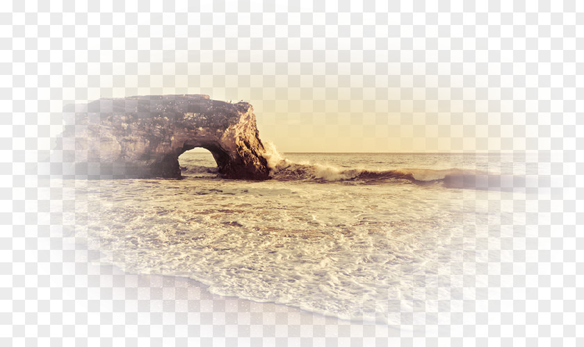 Beach Natural Bridges State McClures Ocean Long PNG