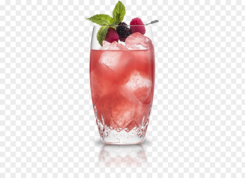 Cranberry Juice Cocktail Garnish Cointreau Rickey Elderflower Cordial PNG