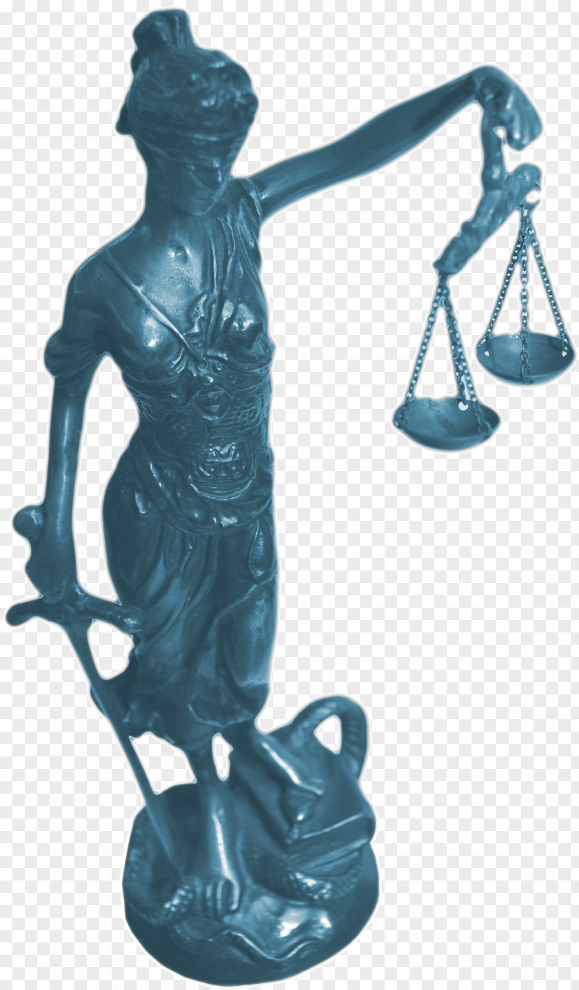 Military Lady Justice Lawyer Judge PNG