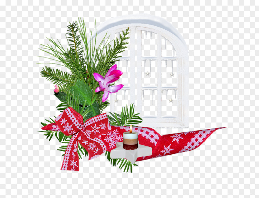 Vascular Plant Interior Design Christmas Gift PNG