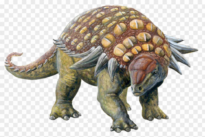 Animal Skull Edmontonia Sauropelta Ankylosaurus Dinosaur Armour PNG