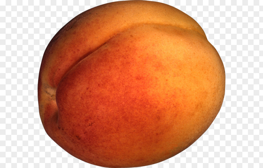 Apricot Nectarine Fruit Food PNG
