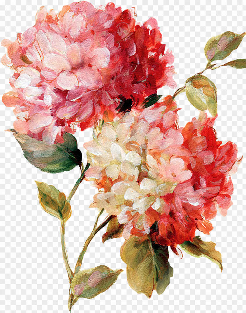 Hydrangea Flower Painting Watercolor PNG