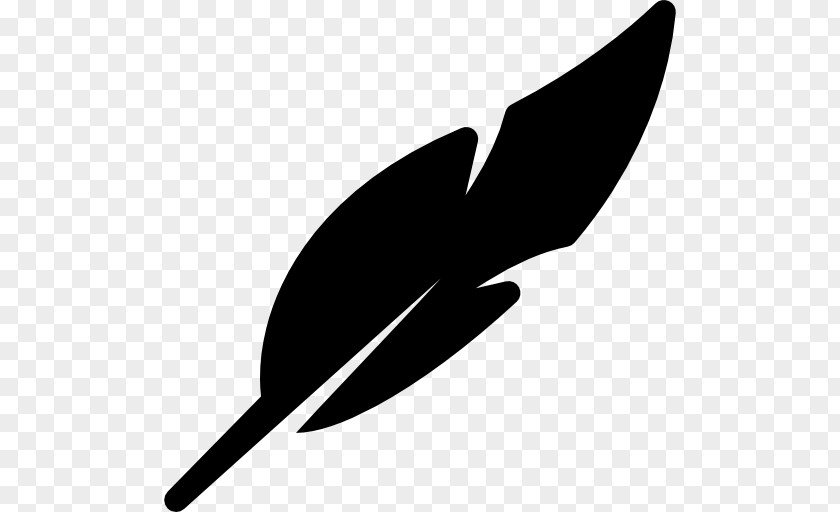 Pen Quill Feather PNG