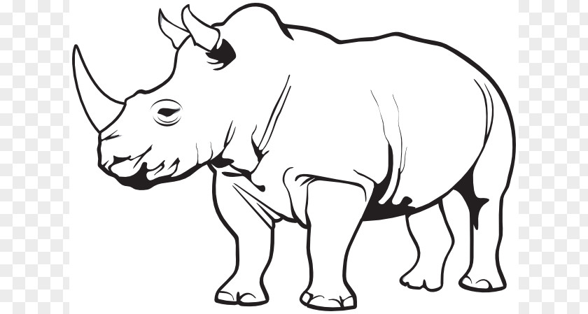 Rhino Animal Cliparts Rhinoceros Horn Clip Art PNG