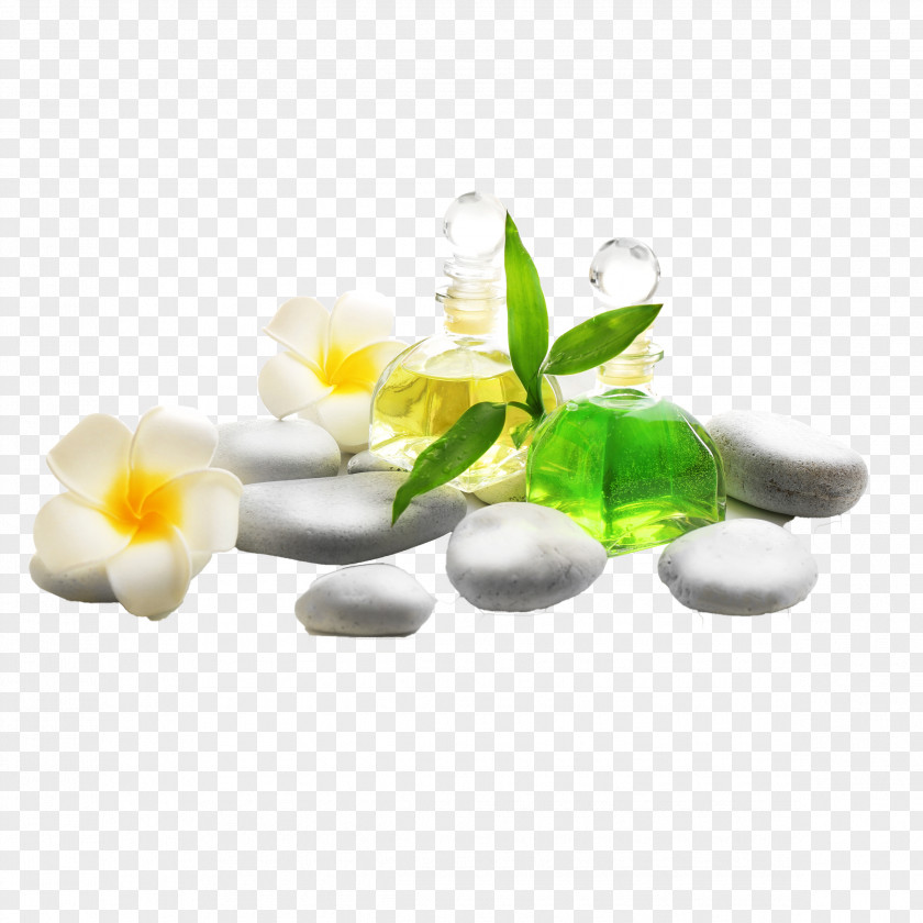 Spa Petal Wallpaper PNG