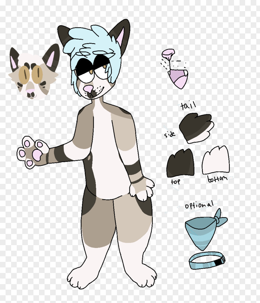 Cat Whiskers Glasses Dog Canidae PNG