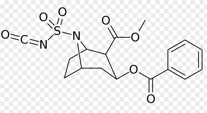Cocaine Dependence Stimulant Erythroxylum Coca Cocaethylene PNG